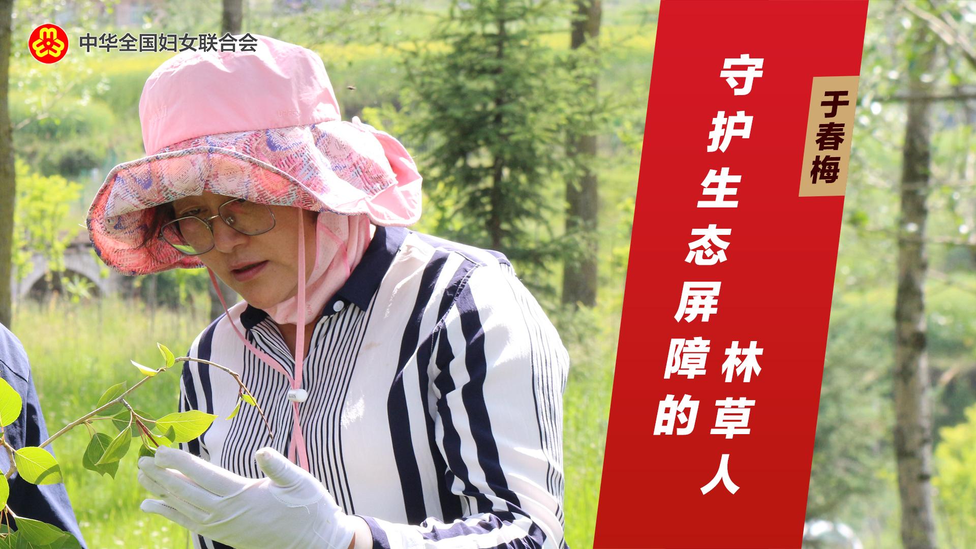 于春梅：守护生态屏障的林草人